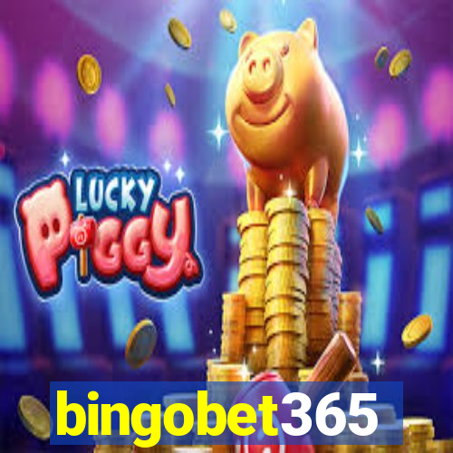 bingobet365