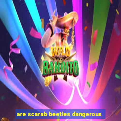 are scarab beetles dangerous