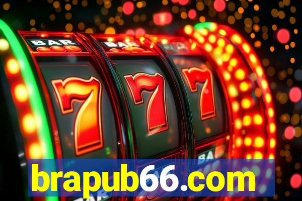 brapub66.com