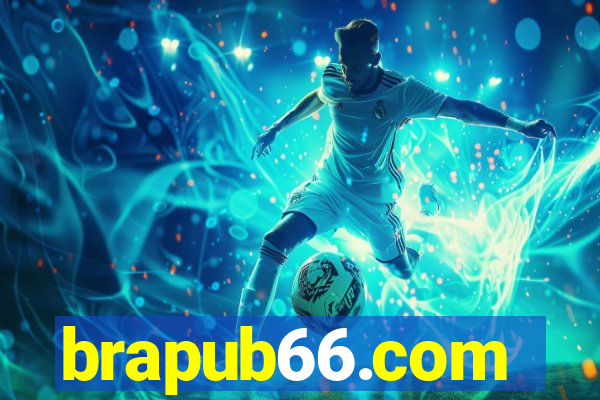 brapub66.com