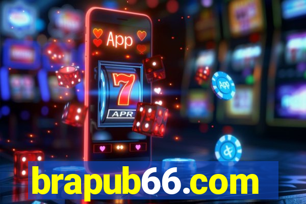 brapub66.com