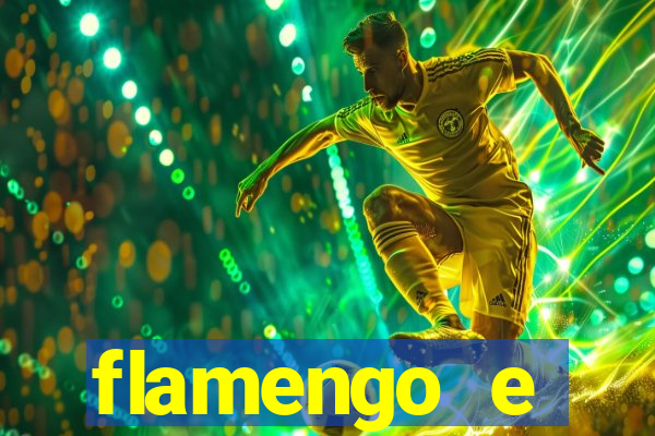 flamengo e palmeiras palpite