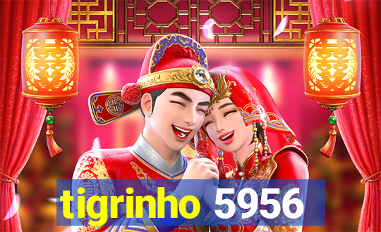 tigrinho 5956