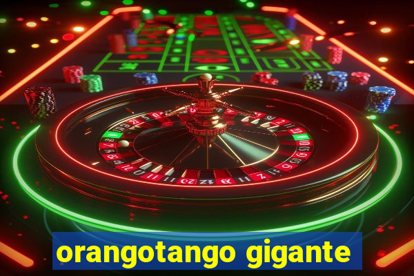 orangotango gigante