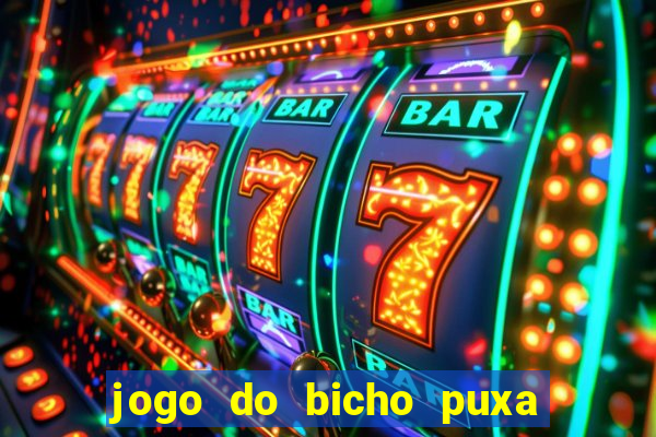 jogo do bicho puxa de dona maria