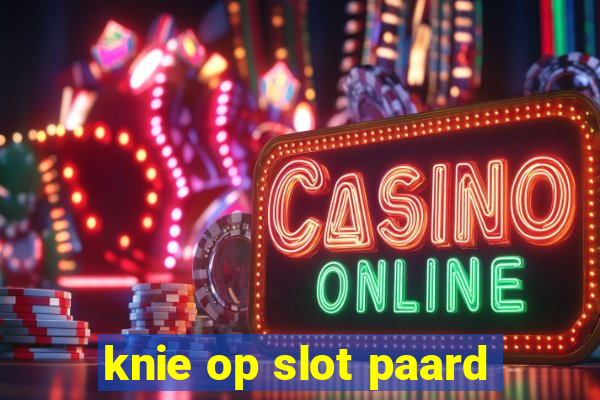 knie op slot paard