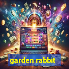 garden rabbit