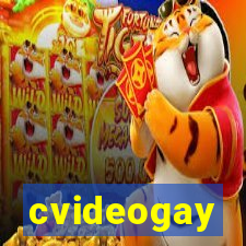 cvideogay