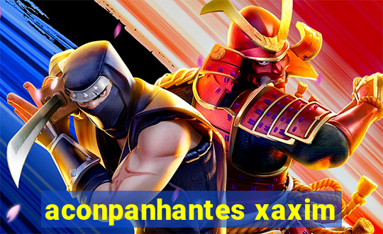 aconpanhantes xaxim