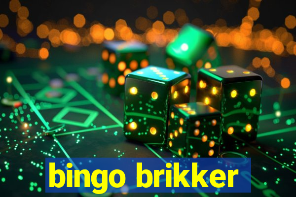 bingo brikker