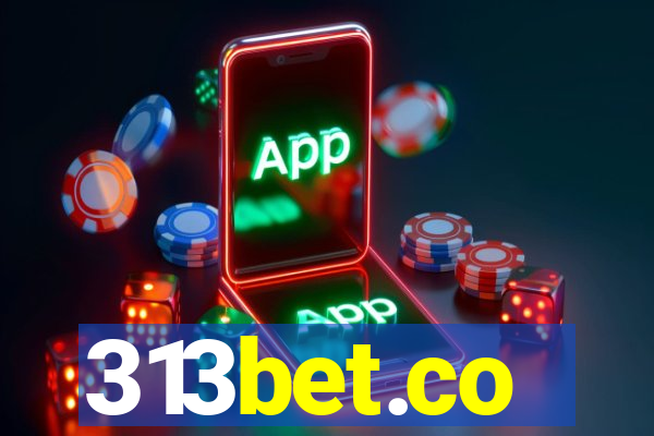 313bet.co