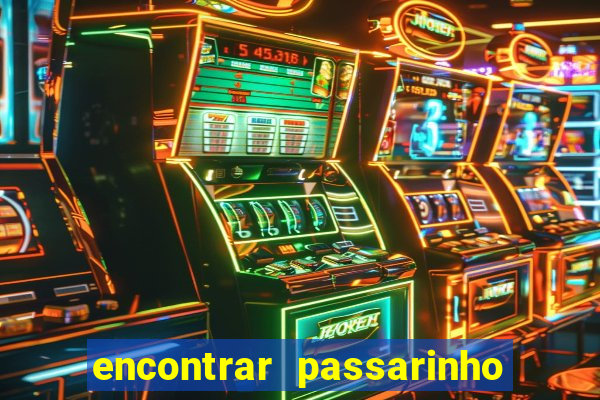 encontrar passarinho morto significado