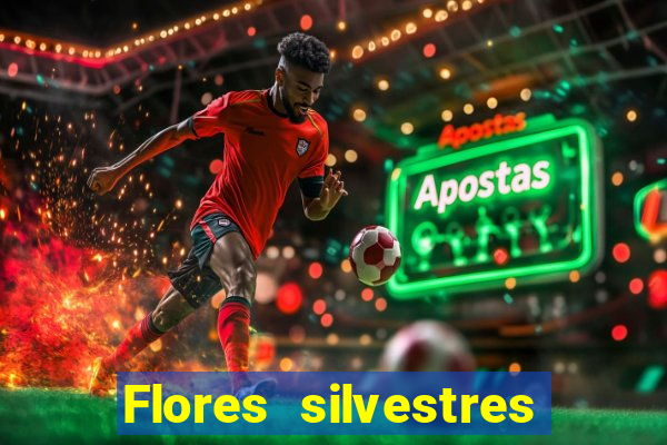 Flores silvestres brasileiras brasileiras flores silvestres nomes e imagens