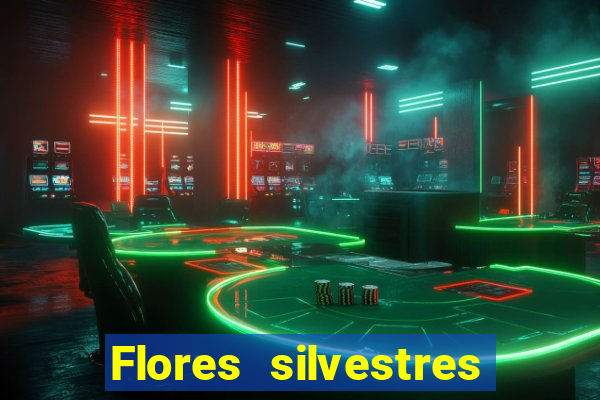 Flores silvestres brasileiras brasileiras flores silvestres nomes e imagens