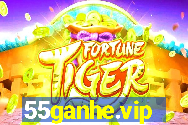 55ganhe.vip