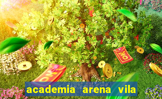 academia arena vila nova novo hamburgo