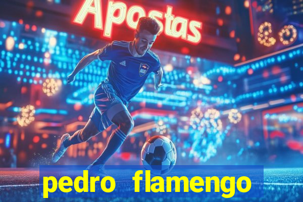 pedro flamengo antes e depois