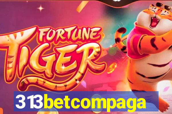 313betcompaga