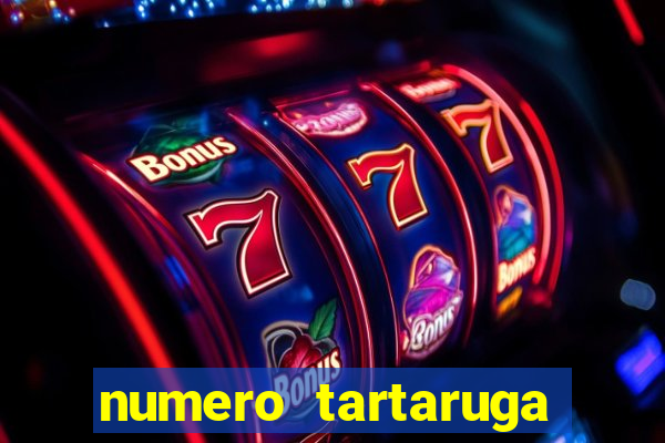 numero tartaruga jogo do bicho