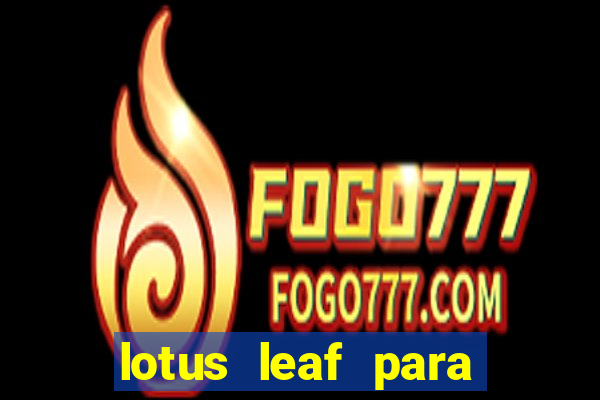 lotus leaf para que serve