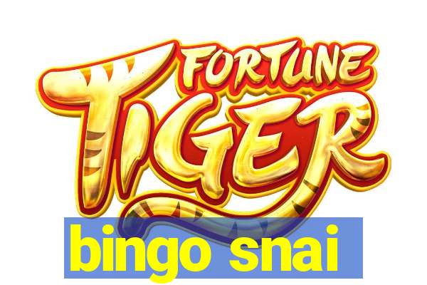 bingo snai