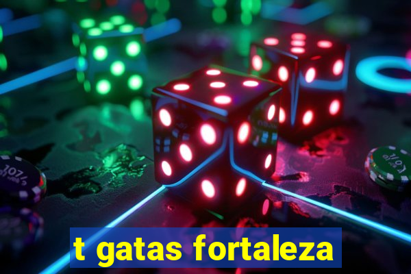 t gatas fortaleza