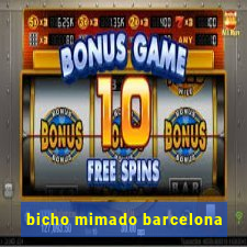 bicho mimado barcelona