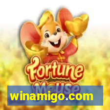 winamigo.com