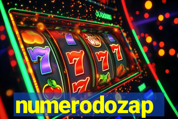 numerodozap