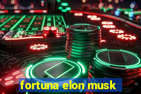 fortuna elon musk