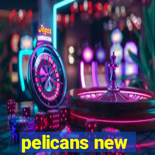 pelicans new