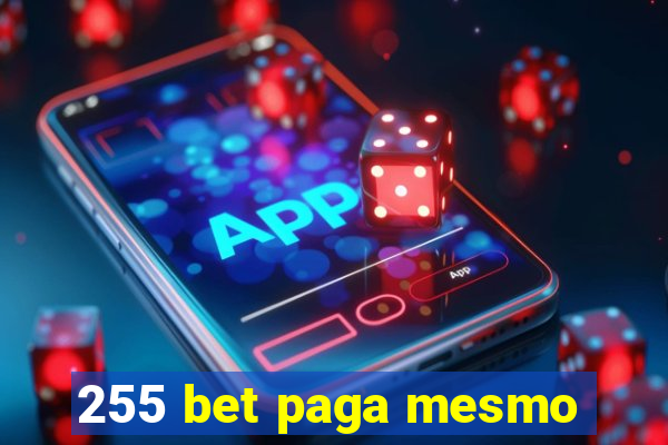 255 bet paga mesmo