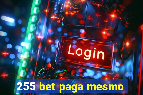 255 bet paga mesmo