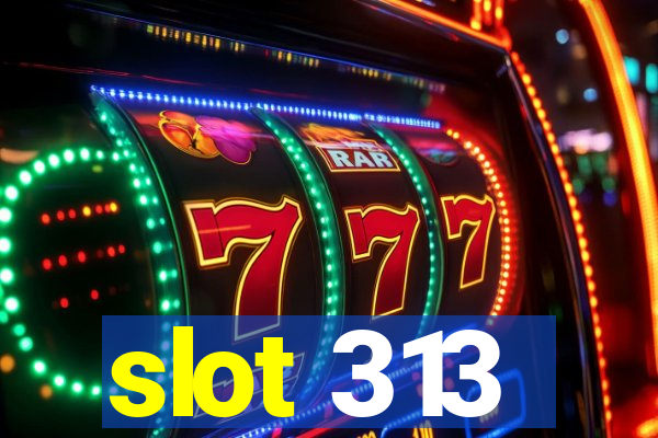 slot 313