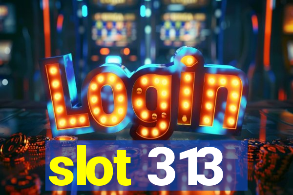 slot 313