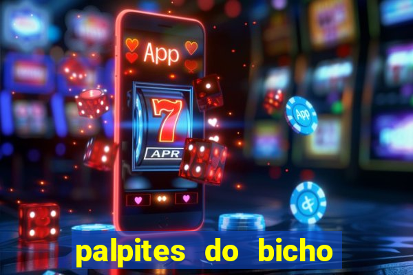 palpites do bicho no celular