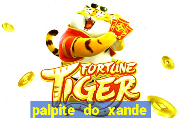 palpite do xande de hoje