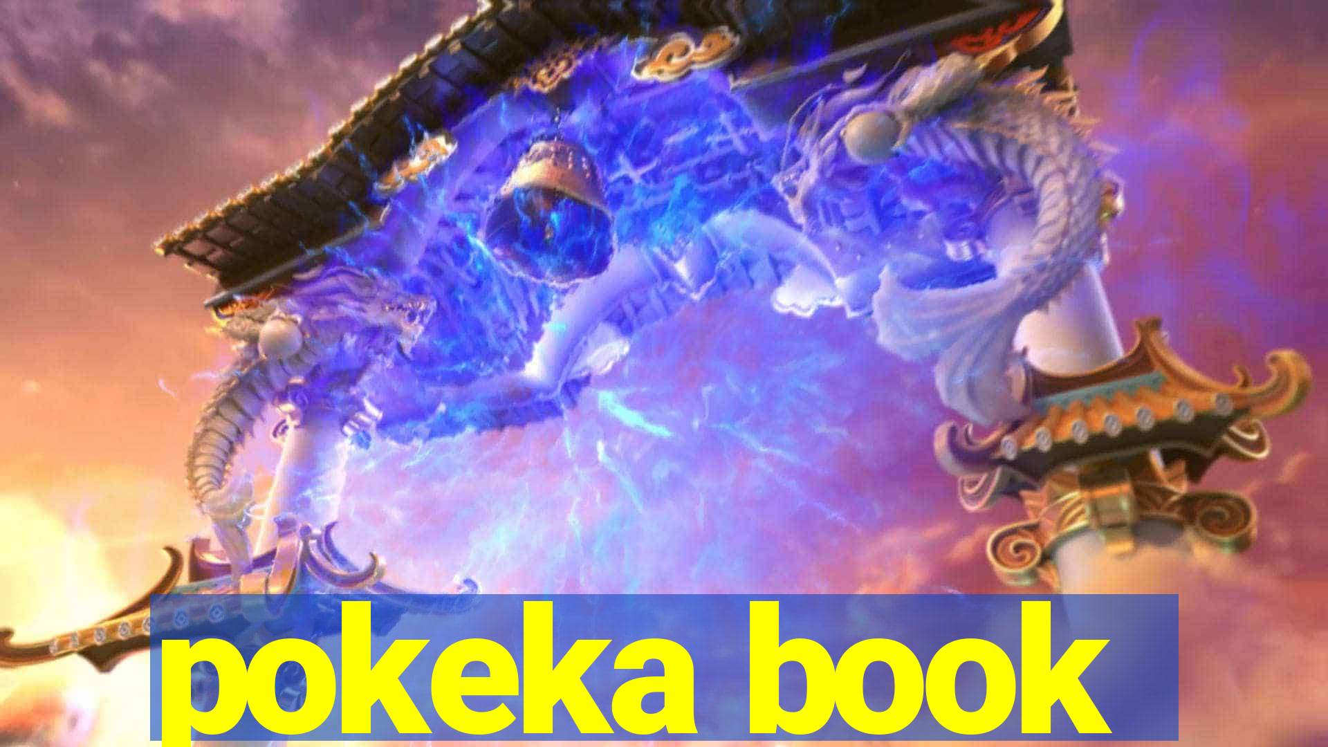 pokeka book