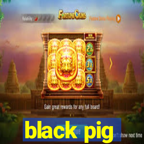 black pig