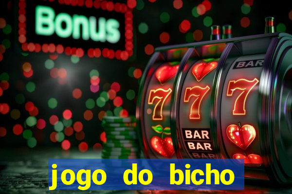 jogo do bicho crash bingo