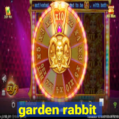 garden rabbit