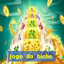 jogo do bicho aposta online