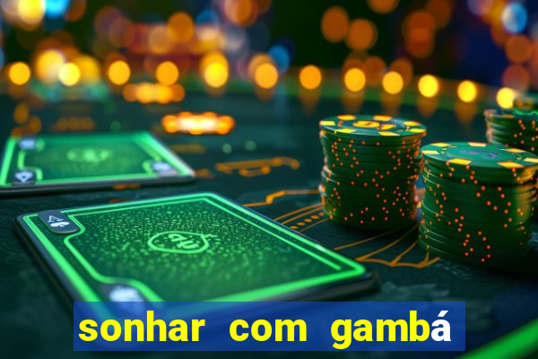 sonhar com gambá jogo do bicho