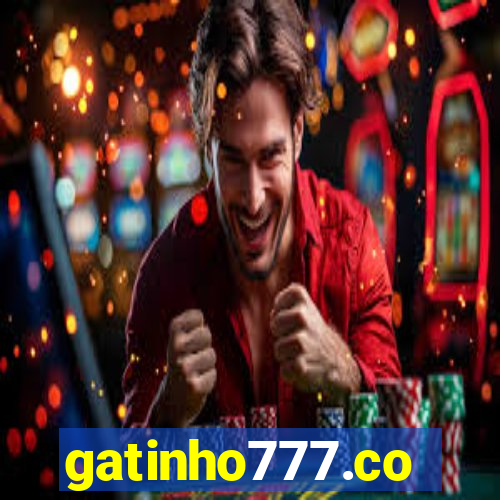 gatinho777.co