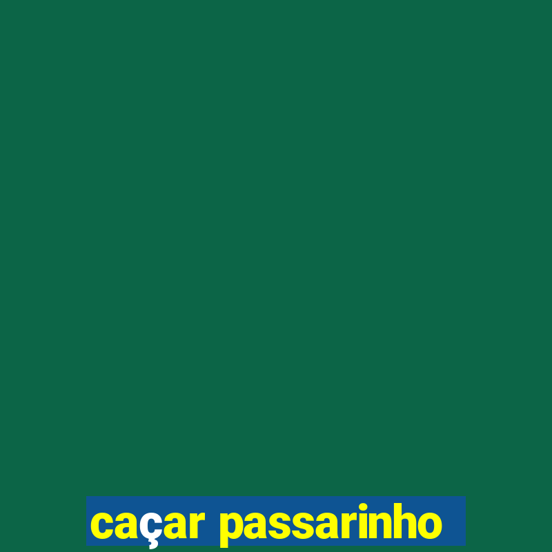 caçar passarinho