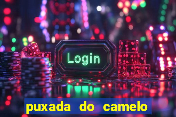 puxada do camelo jogo do bicho