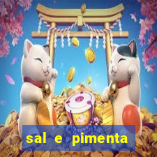 sal e pimenta restaurante sp